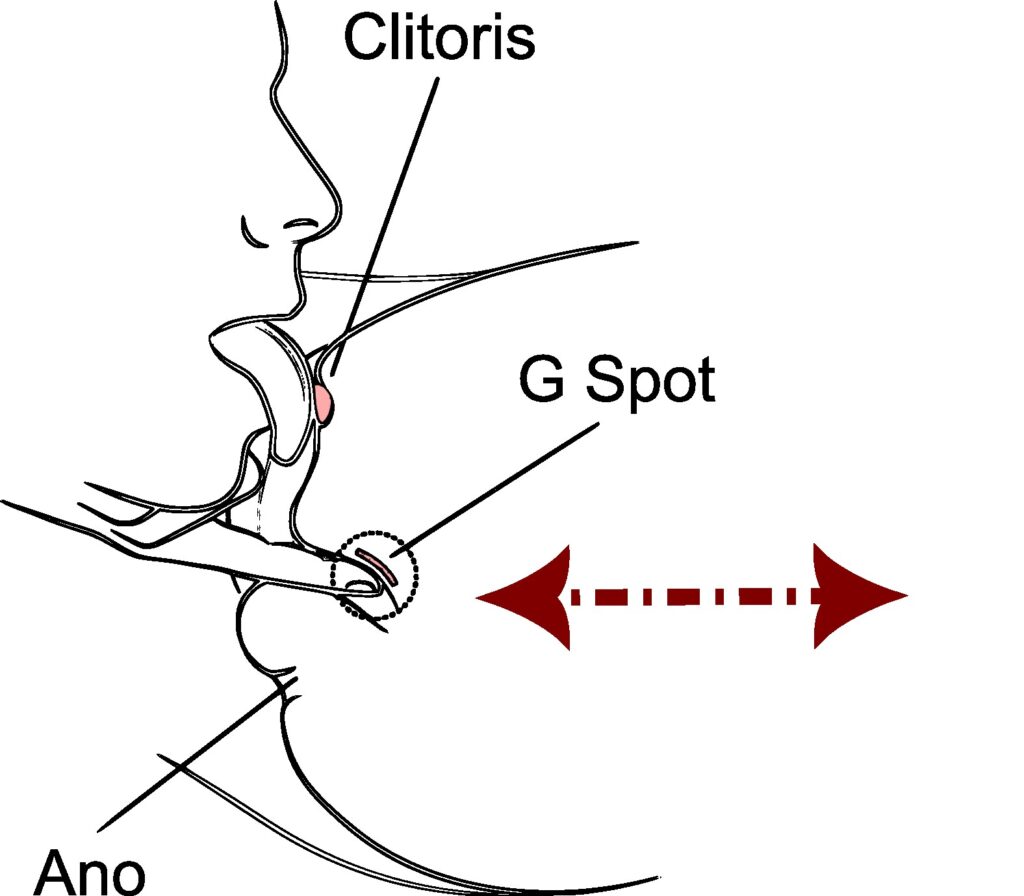 Cómo meterle los dedos a una mujer: G-spot Oral